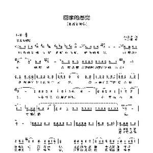 回家的感觉_歌曲简谱_词曲:邬大为 王小军