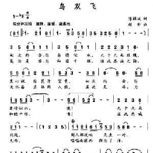 鸟双飞_通俗唱法乐谱_词曲:陈颖波 龙荣艳 赵金