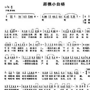 那棵小白杨_民歌简谱_词曲:伍裕生 李庆武