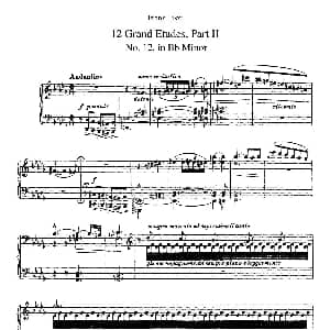 12 Grand Etudes S.137 钢琴谱 弗兰茨 李斯特