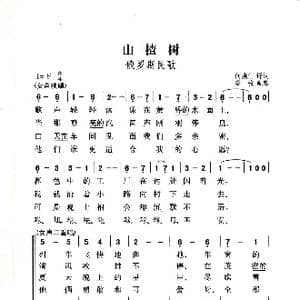 山楂树_歌曲简谱_词曲:俄罗斯民歌