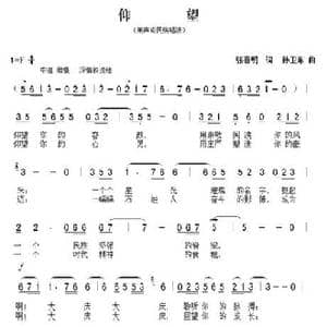 仰望_歌曲简谱_词曲:张喜明 孙卫东