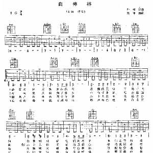 白桦林 吉他谱 朴树 朴树 朴树