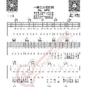 谢春花 一棵会开花的树 吉他谱_歌曲简谱