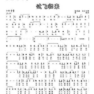 试飞归来_民歌简谱_词曲:甄景城 李庆文 集体