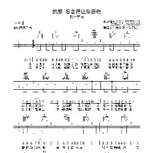 姑娘 怎舍得你悲伤 吉他谱