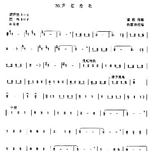 芦笙恋歌 佟富功改编