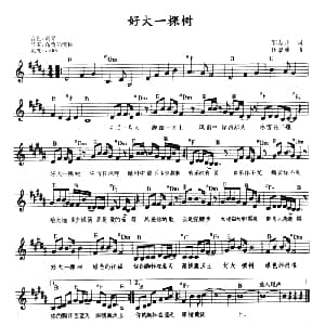 电子琴谱 | 好大一棵树 带歌词 提示版 邹友开 伍嘉冀