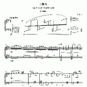 小看花 钢琴谱 马婷