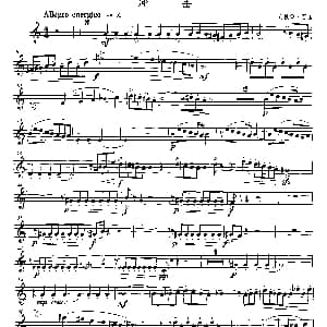 冲击 小号 安德鲁.百诺