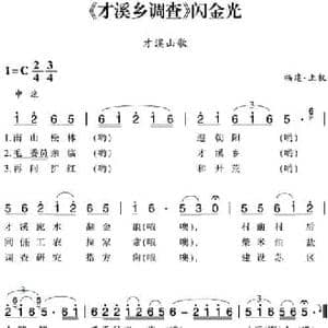 赣南闽西红色歌曲_ 才溪乡调查 闪金光_民歌简谱_词曲: 福建 上杭民歌
