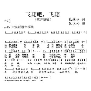 飞翔吧,飞翔_儿歌乐谱_词曲:张结林 张朱论