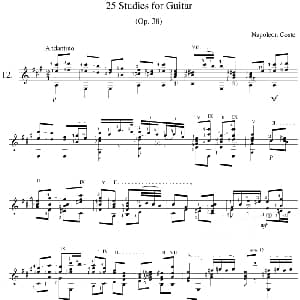 Napoleon Coste 25 Studies,Op.38 吉他谱