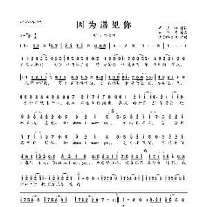 因为遇见你_歌曲简谱_词曲:周洁颖 林华勇