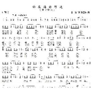 你在海的那边_歌曲简谱_词曲:甘霖 孙卫东