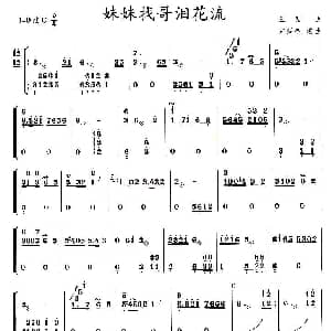 古筝谱 | 妹妹找哥泪花流