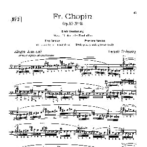 53首以肖邦练习曲为素材而作的练习曲 钢琴谱 里奥鲍尔德 戈多夫斯基