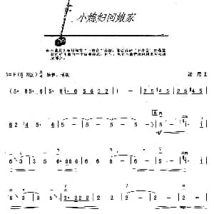 二胡谱 | 小媳妇回娘家 汤尼