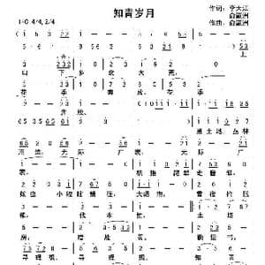 满江红 知青岁月_歌曲简谱_词曲:李大江 俞瀛洲 俞瀛洲曲编