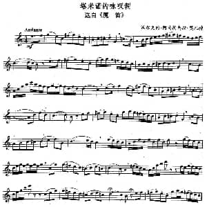 长笛曲谱 | 塔米诺的咏叹调