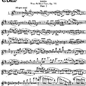 长笛曲谱 | 库劳长笛二重奏练习三段OP.102 Flute 2 NO.1 Kuhlau 库劳