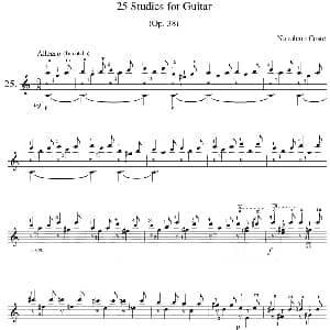 Napoleon Coste 25 Studies,Op.38 吉他谱