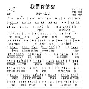 我是你的岛 王琪_通俗唱法乐谱_词曲:王琪 王琪