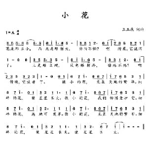 小花_通俗唱法乐谱_词曲:王玉庆 王玉庆