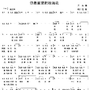 你是雾里的玫瑰花_通俗唱法乐谱_词曲:刁夫 残仁龙