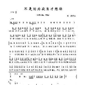 不是因为寂寞才想你_歌谱投稿_词曲:张超 张超