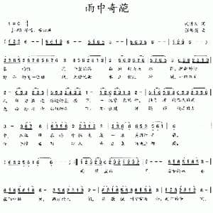 雨中奇葩_歌曲简谱_词曲:吴钟文 张伟英