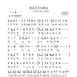 我就是最亮的星_歌曲简谱_词曲:王海椿 高福友