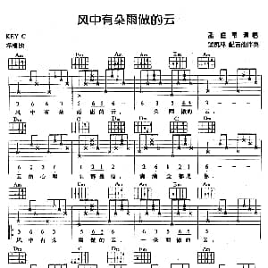 风中有朵雨做的云 吉他谱 孟庭苇