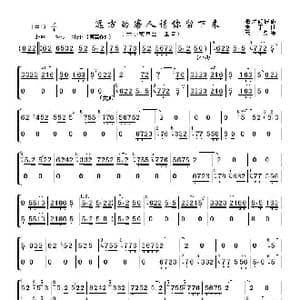 远方的客人请你留下来_歌曲简谱_词曲: 麦丁