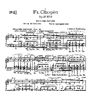 53首以肖邦练习曲为素材而作的练习曲 钢琴谱 里奥鲍尔德 戈多夫斯基