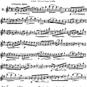 长笛曲谱 | 三十首基础及提高练习曲 NO.11 Garibold 加里波第