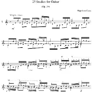 Napoleon Coste 25 Studies,Op.38 吉他谱