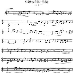 民乐视奏练习曲集 23—24
