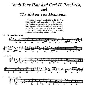 小提琴谱 | The Kid on The Mountain 爱尔兰民歌