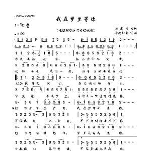 我在梦里等你_歌曲简谱_词曲:吴发林 吴发林