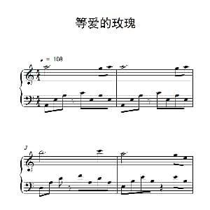 等爱的玫瑰 钢琴谱