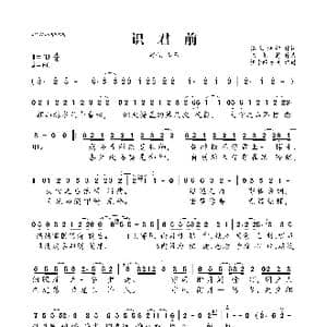 识君前_歌曲简谱_词曲:偏生梓归 张栩赫