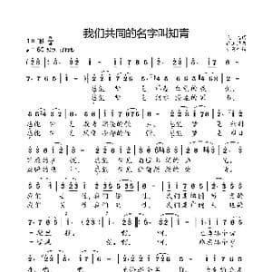 我们共同的名字叫知青_歌曲简谱_词曲:晓达 徐玉照