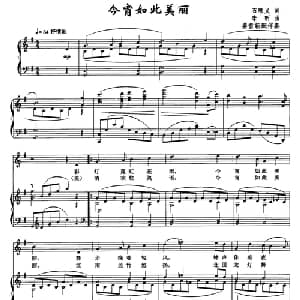 今宵如此美丽_美声唱法乐谱_词曲:石顺义 李昕