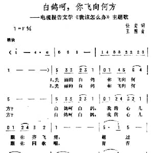 白鸽呵,你飞向何方_美声唱法乐谱_词曲:徐虹 王酩