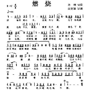 燃烧_通俗唱法乐谱_词曲:孙楠 孙楠