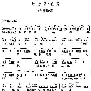 昆曲 牡丹亭 硬拷 柳梦梅唱段