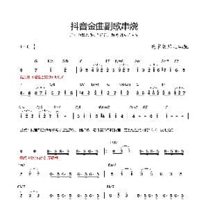 抖音金曲串烧_歌谱投稿_词曲:群星 群星