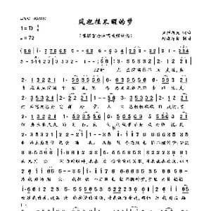 风也摇不醒的梦_歌曲简谱_词曲:灿烂阿龙 灿烂阿龙