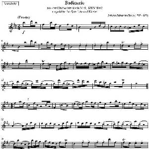 长笛曲谱 | Badinerie 巴赫